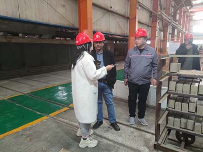 lianxin Indian customer